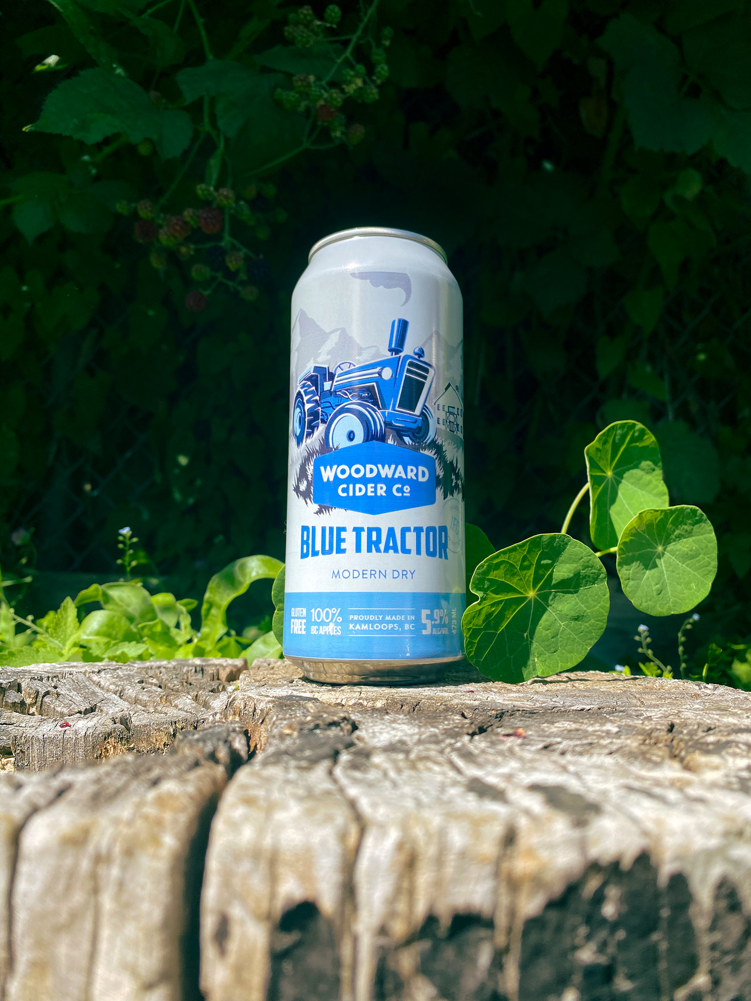 Woodward Cider Co. Blue Tractor can.