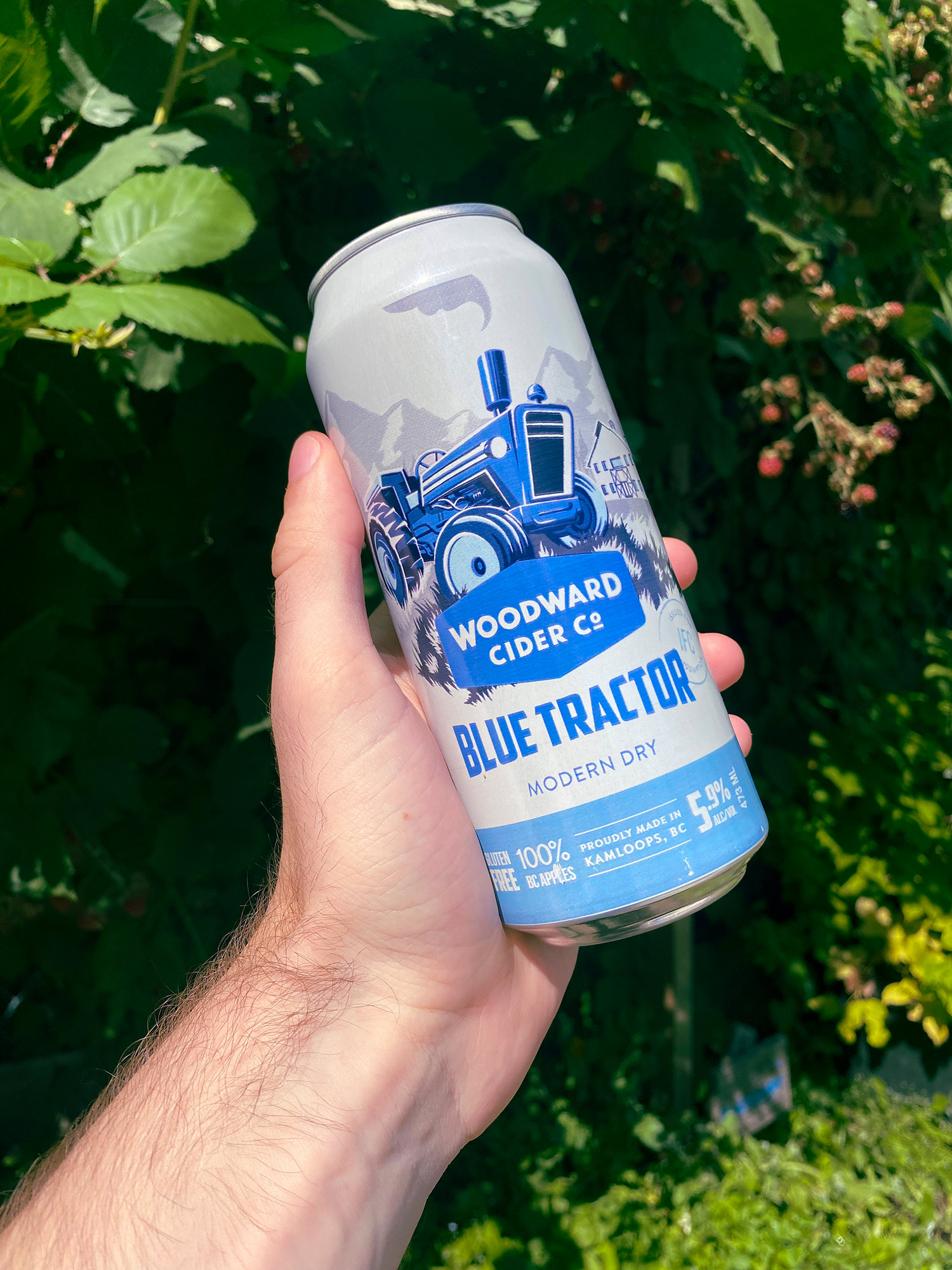 Woodward Cider Co. Blue Tractor can in hand.