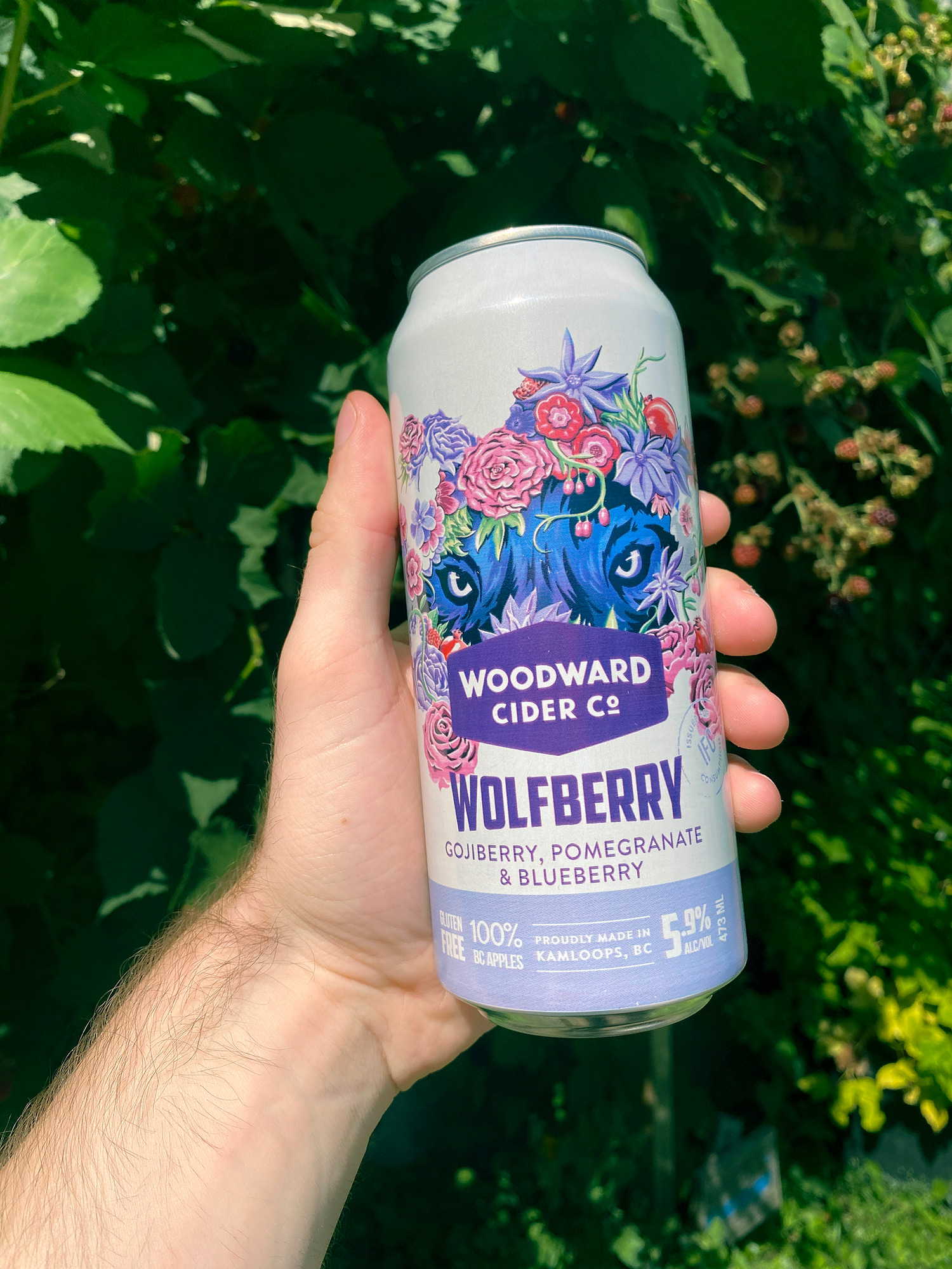 Woodward Cider Co. Wolfberry can in hand.